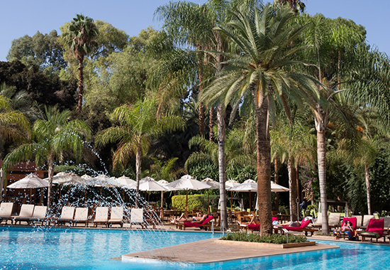 piscine-palmier-hotel-marrakech