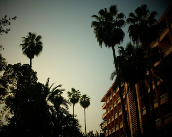 ES SAADI – UNE ICÔNE MAROCAINE