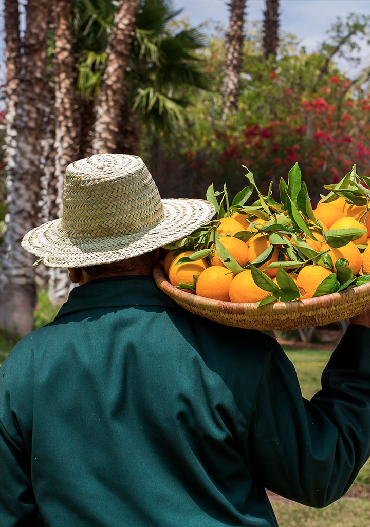 Potager du Bled